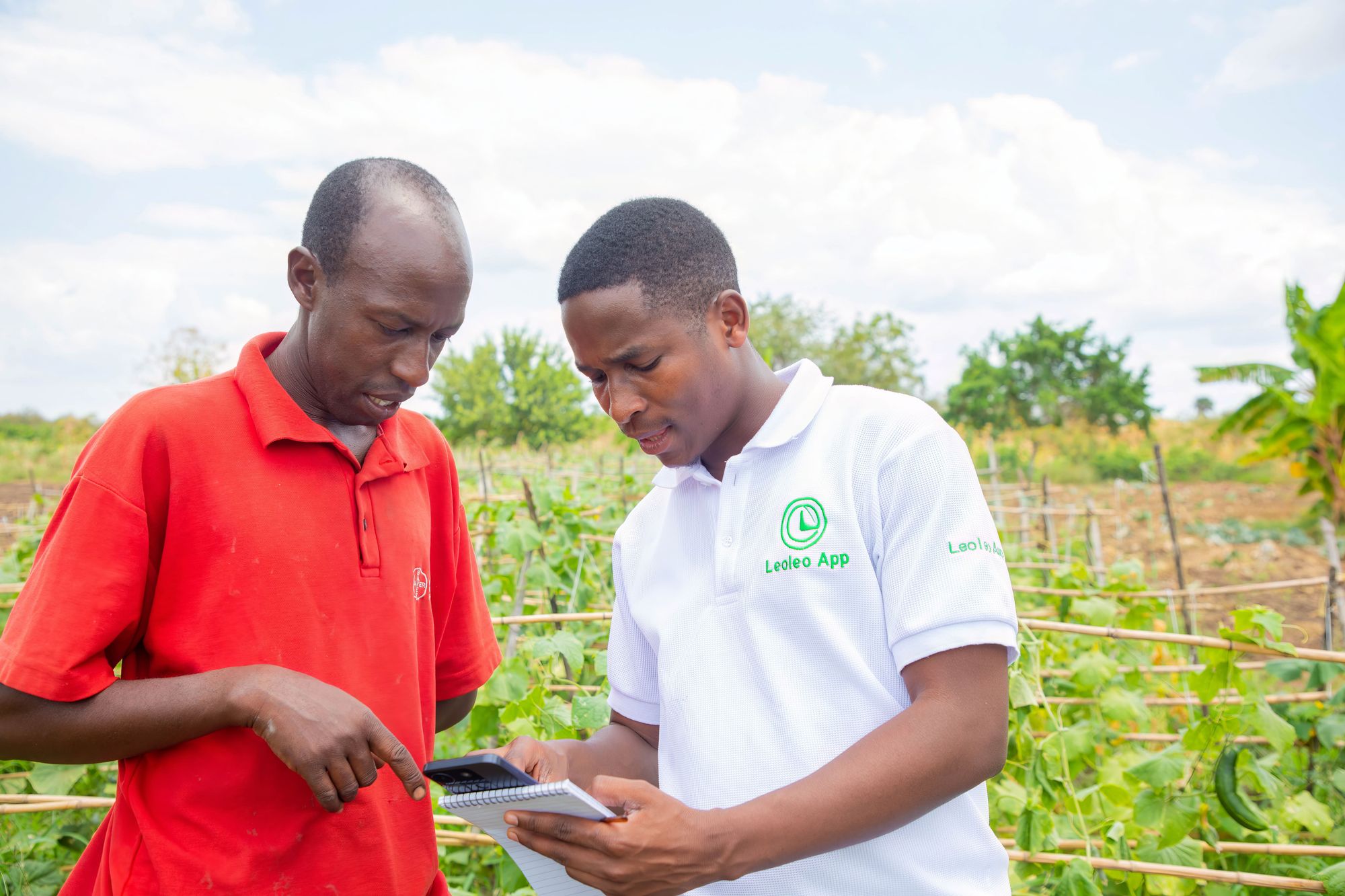 Yield performance tracking by Seedstone