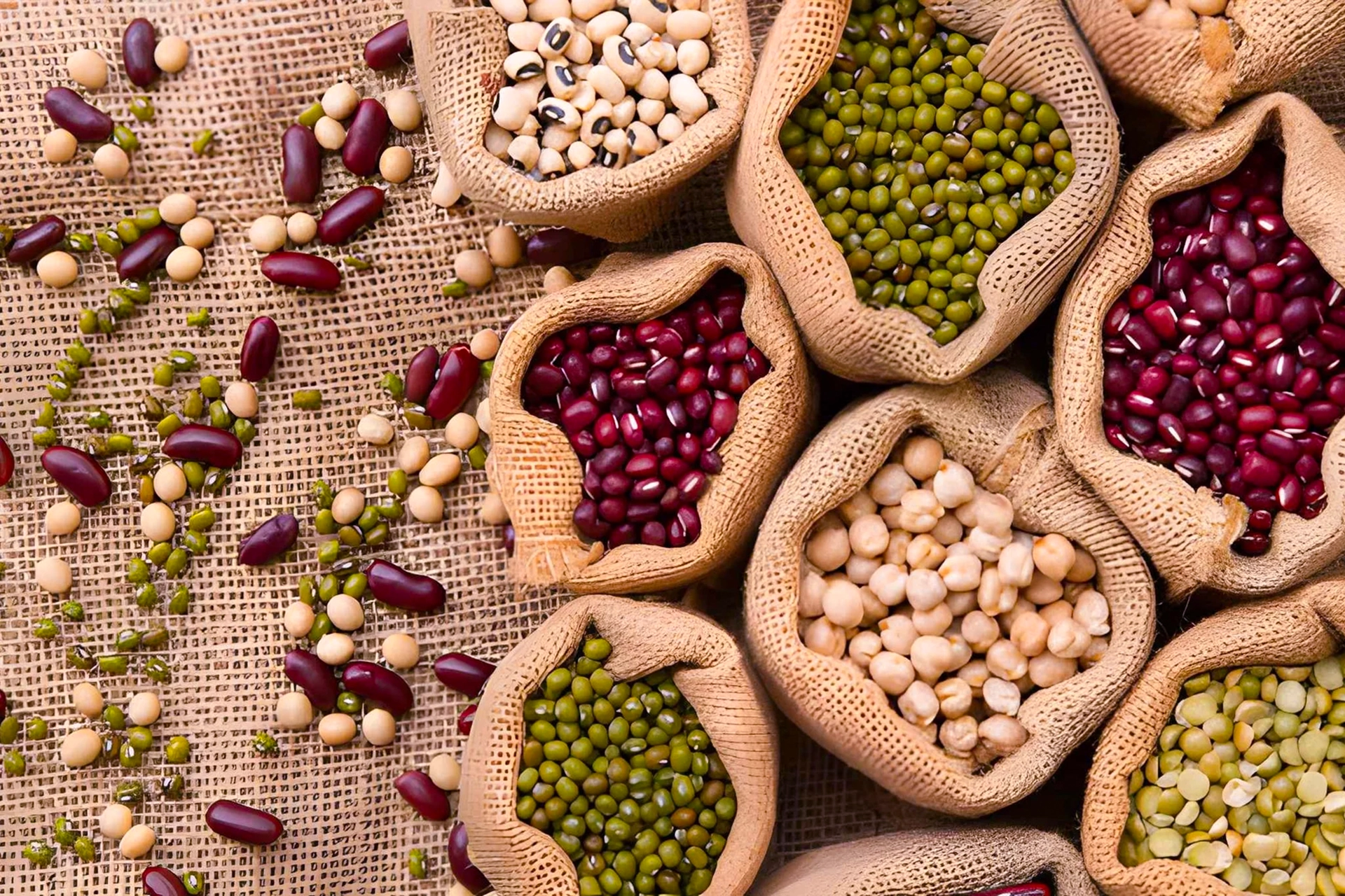 Seedstone agricultural export crops from Tanzania
